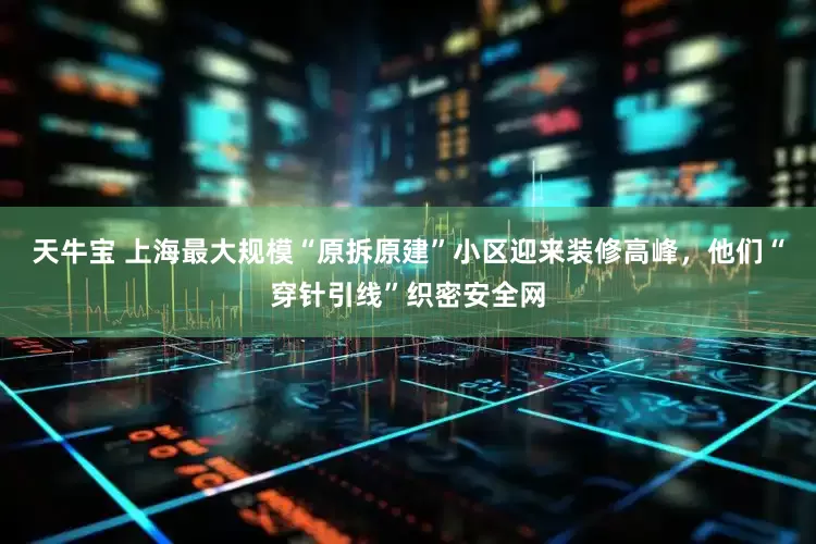 天牛宝 上海最大规模“原拆原建”小区迎来装修高峰，他们“穿针引线”织密安全网