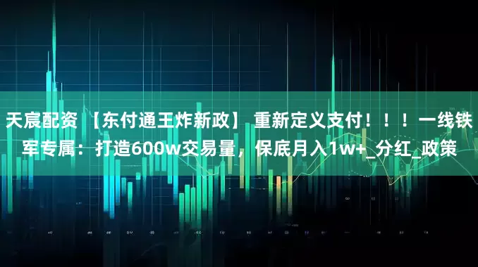天宸配资 【东付通王炸新政】 重新定义支付！！！一线铁军专属：打造600w交易量，保底月入1w+_分红_政策