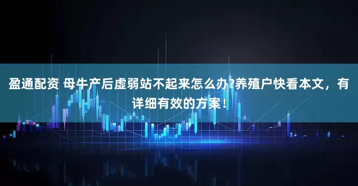 盈通配资 母牛产后虚弱站不起来怎么办?养殖户快看本文，有详细有效的方案！