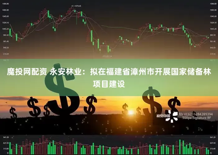 魔投网配资 永安林业：拟在福建省漳州市开展国家储备林项目建设