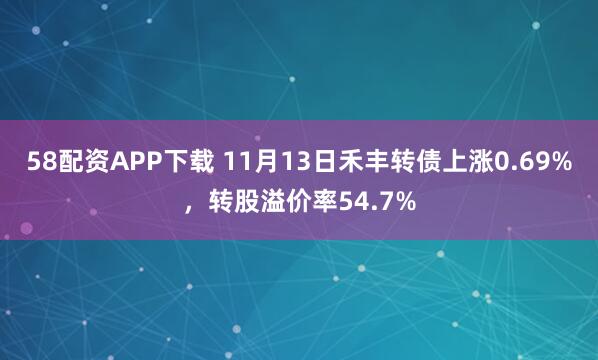 58配资APP下载 11月13日禾丰转债上涨0.69%，转股溢价率54.7%