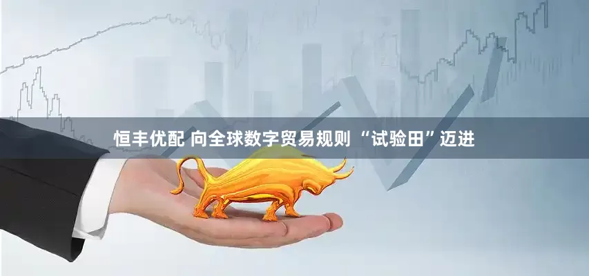 恒丰优配 向全球数字贸易规则 “试验田”迈进
