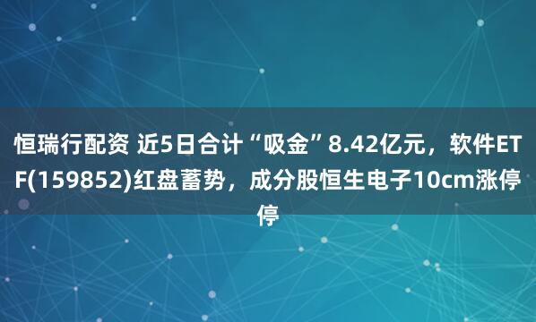 恒瑞行配资 近5日合计“吸金”8.42亿元，软件ETF(159852)红盘蓄势，成分股恒生电子10cm涨停